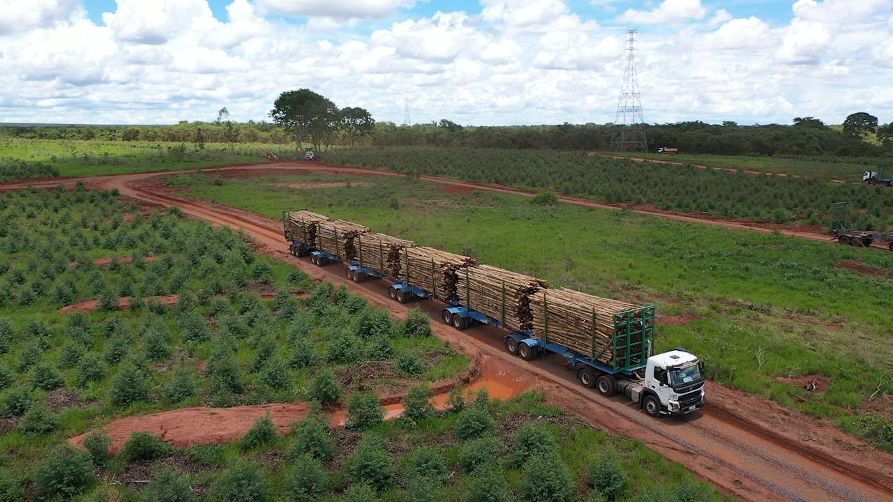 Suzano lança, em Mato Grosso do Sul, estratégia de logística inédita no mundo